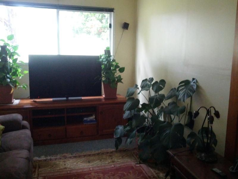 251 Redhill Road, Limekilns NSW 2795