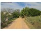 6 Wellington Street, Molong NSW 2866