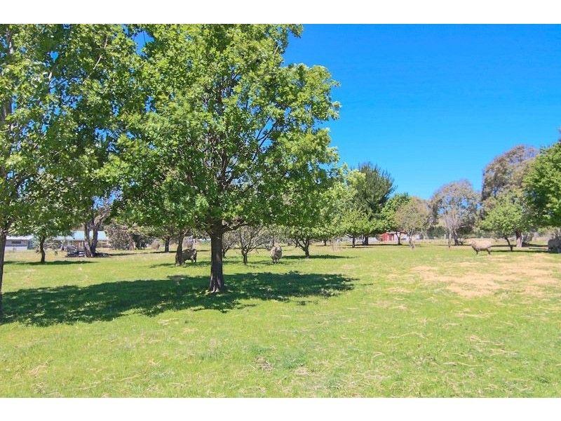 4 Selby Street, Lyndhurst NSW 2797