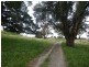 4396 – 4398 Mitchell Highway, Lucknow NSW 2800