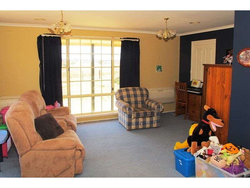 569 Forest Reefs Road, Millthorpe NSW 2798