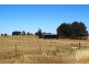 569 Forest Reefs Road, Millthorpe NSW 2798