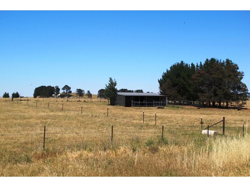 569 Forest Reefs Road, Millthorpe NSW 2798
