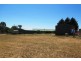 569 Forest Reefs Road, Millthorpe NSW 2798
