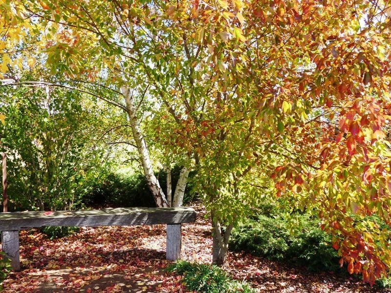 Selah Pretty Plains Road, Millthorpe NSW 2798