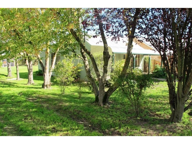 19 Stabback Street, Millthorpe NSW 2798