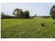 147 Bathurst Road, Orange NSW 2800