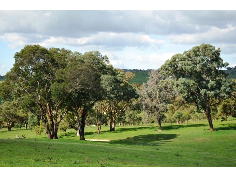 Willapines Molong Road, Orange NSW 2800