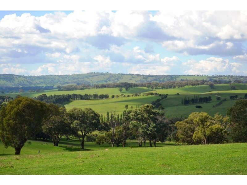 Willapines Molong Road, Orange NSW 2800