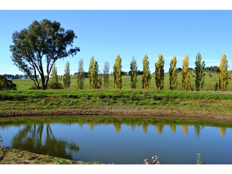 Willapines Molong Road, Orange NSW 2800