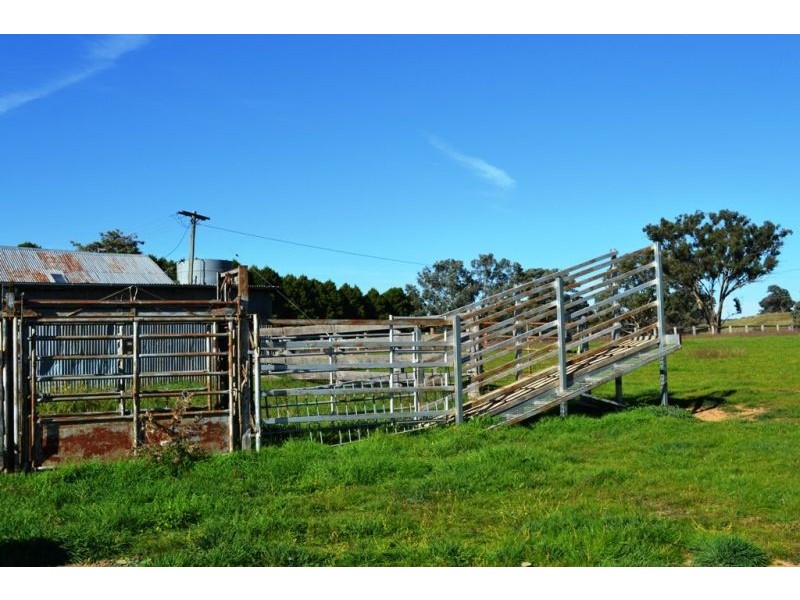 Willapines Molong Road, Orange NSW 2800