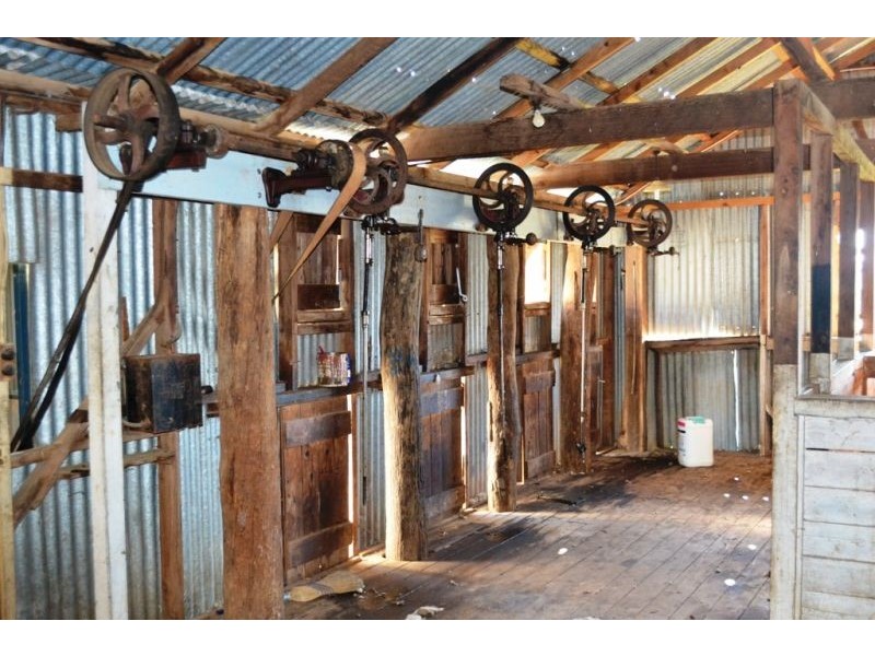 Willapines Molong Road, Orange NSW 2800