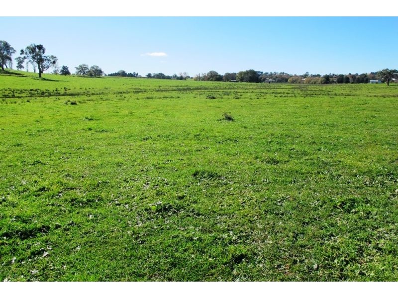 160 Forest Reefs Road, Millthorpe NSW 2798