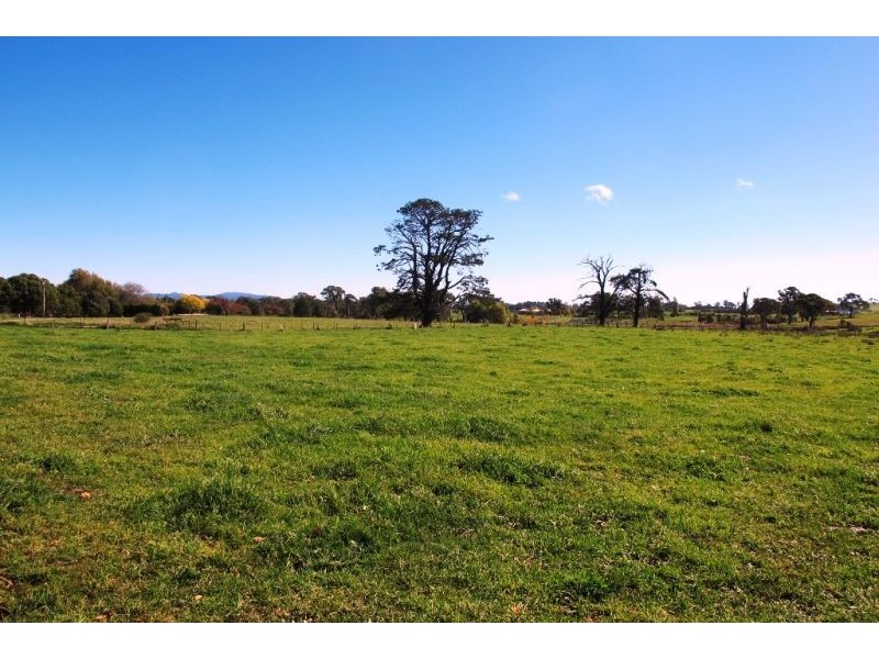 160 Forest Reefs Road, Millthorpe NSW 2798