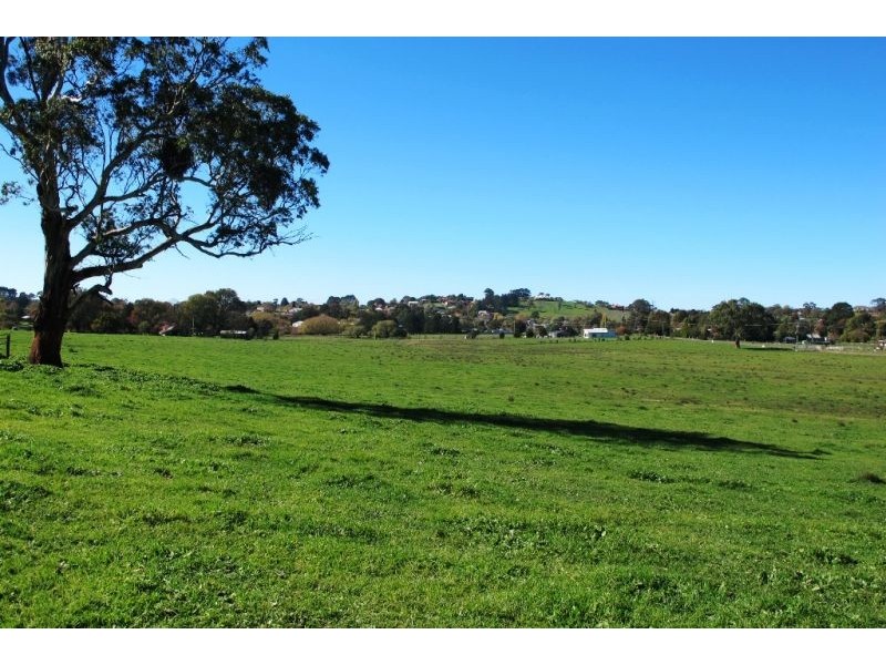 160 Forest Reefs Road, Millthorpe NSW 2798