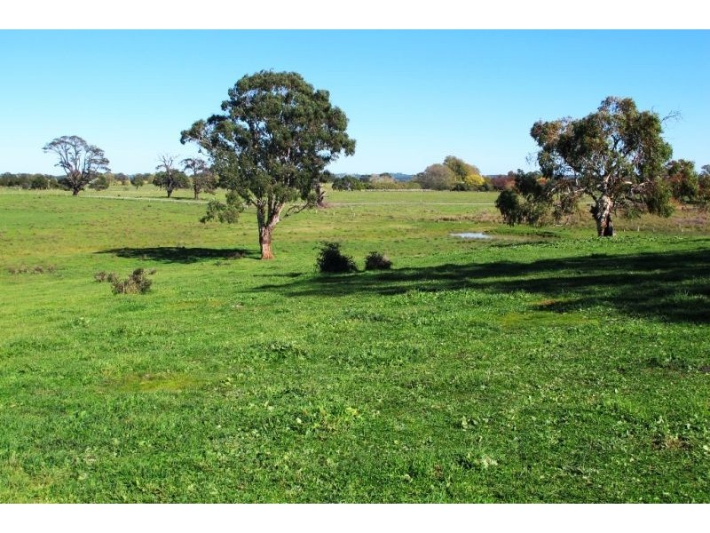 160 Forest Reefs Road, Millthorpe NSW 2798