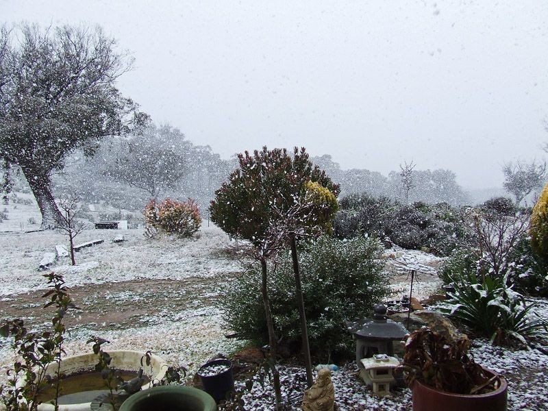 Lot 140 Selection Road Icely Road, Orange NSW 2800