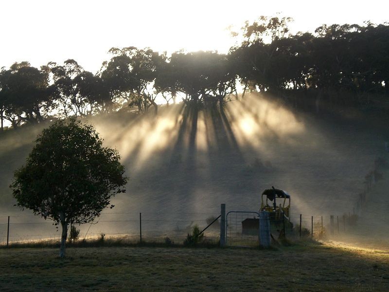 Lot 140 Selection Road Icely Road, Orange NSW 2800