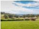 Macquarie Downs’ 560 Griffin Road, Orange NSW 2800