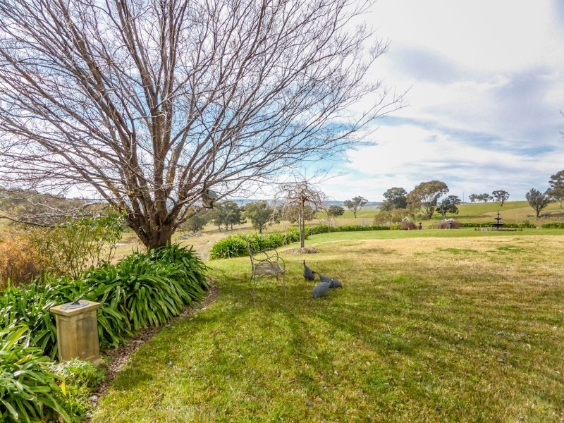Macquarie Downs’ 560 Griffin Road, Orange NSW 2800