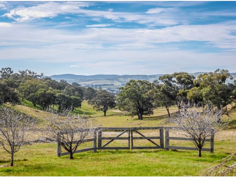Macquarie Downs’ 560 Griffin Road, Orange NSW 2800