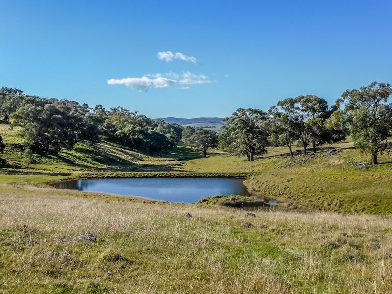 Macquarie Downs’ 560 Griffin Road, Orange NSW 2800