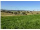 Macquarie Downs’ 560 Griffin Road, Orange NSW 2800