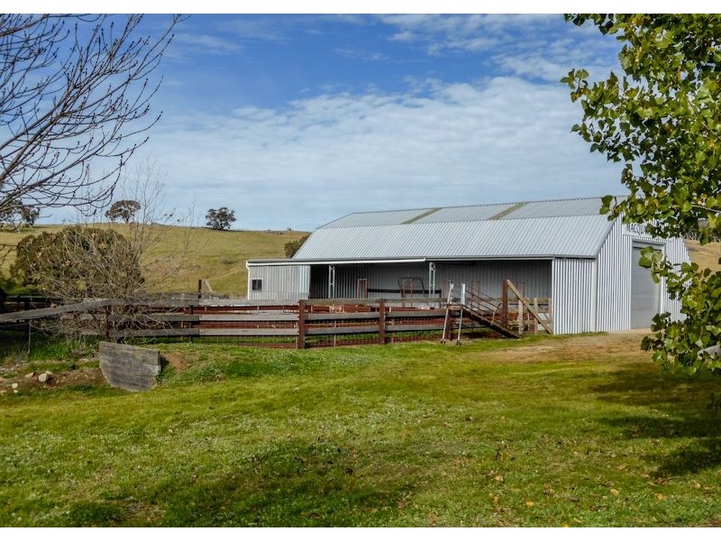Macquarie Downs’ 560 Griffin Road, Orange NSW 2800