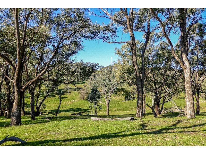 Macquarie Downs’ 560 Griffin Road, Orange NSW 2800