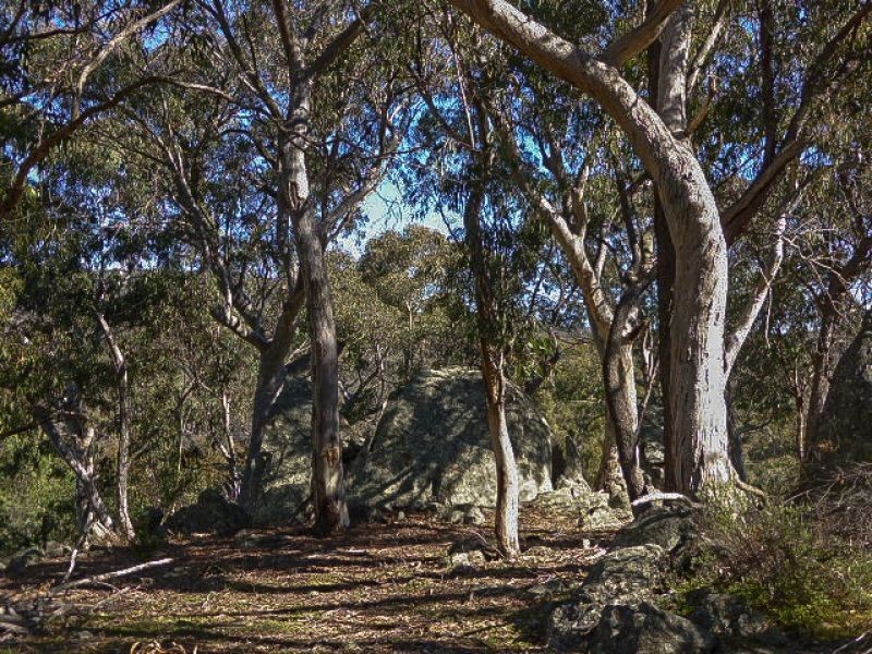 65 Rowlands Close, Orange NSW 2800
