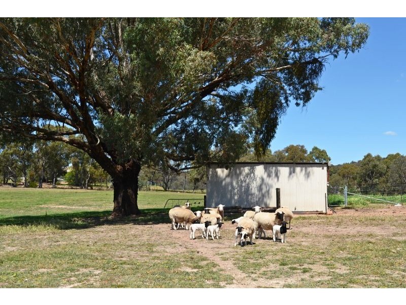 2412 Burrendong Way, Mullion Creek NSW 2800