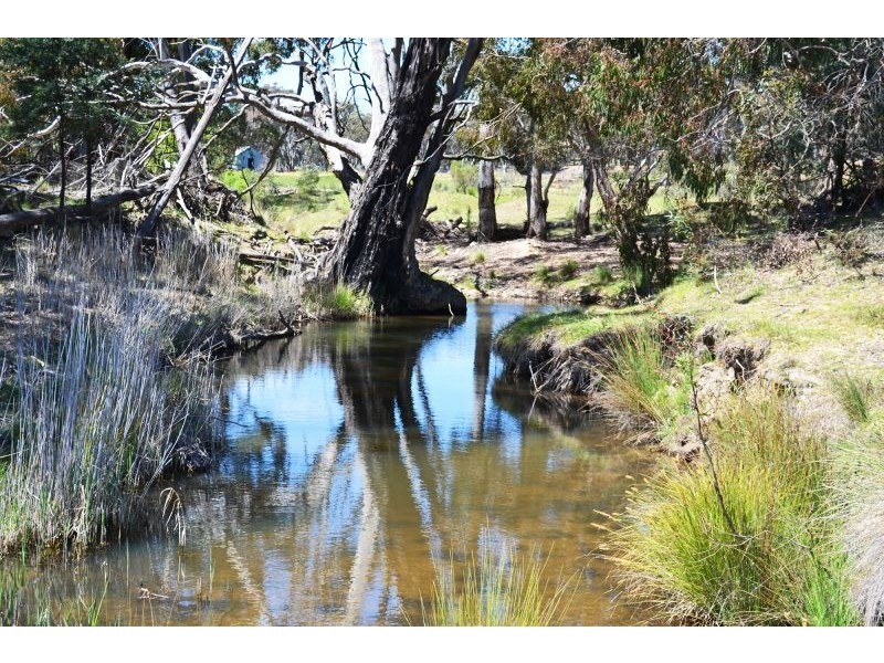 2412 Burrendong Way, Mullion Creek NSW 2800