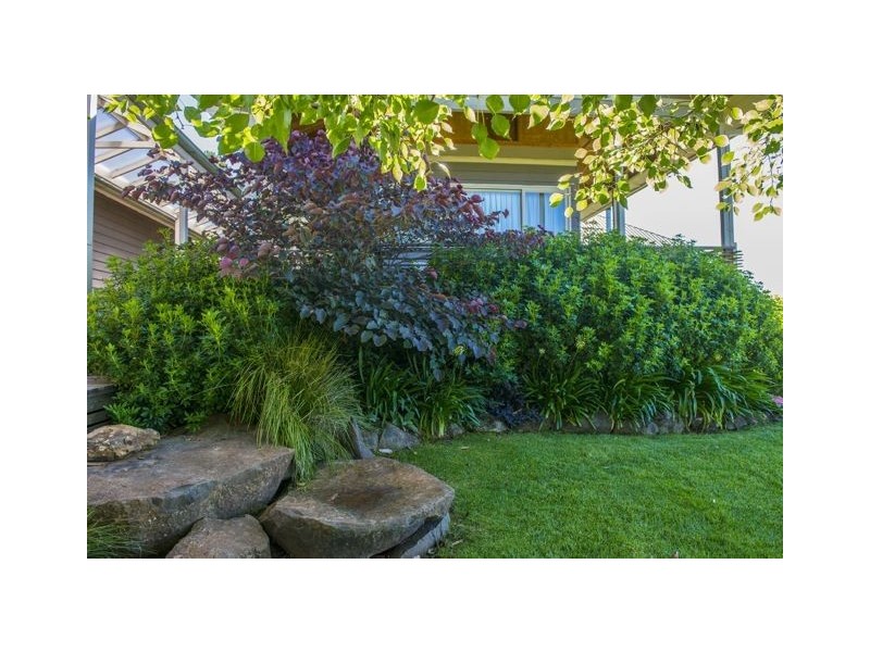 160 Kearl Road, Orange NSW 2800