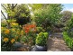 Orange NSW 2800