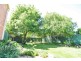 156 Edward Street, Orange NSW 2800