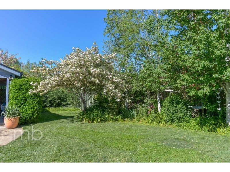 56 March Street, Orange NSW 2800