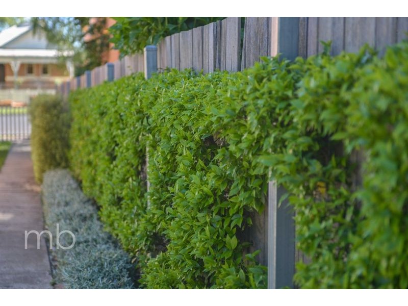 56 March Street, Orange NSW 2800