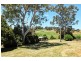 Nangkita 14 Favell Road, Lucknow NSW 2800
