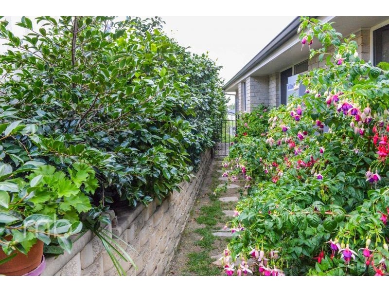 22 Bert Whiteley Place, Orange NSW 2800