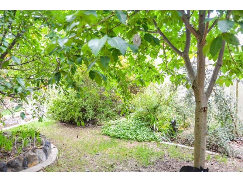 22 Bert Whiteley Place, Orange NSW 2800