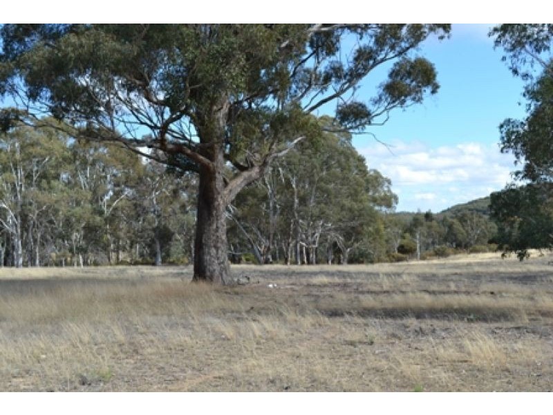 Bridle Valley Estate, Orange NSW 2800