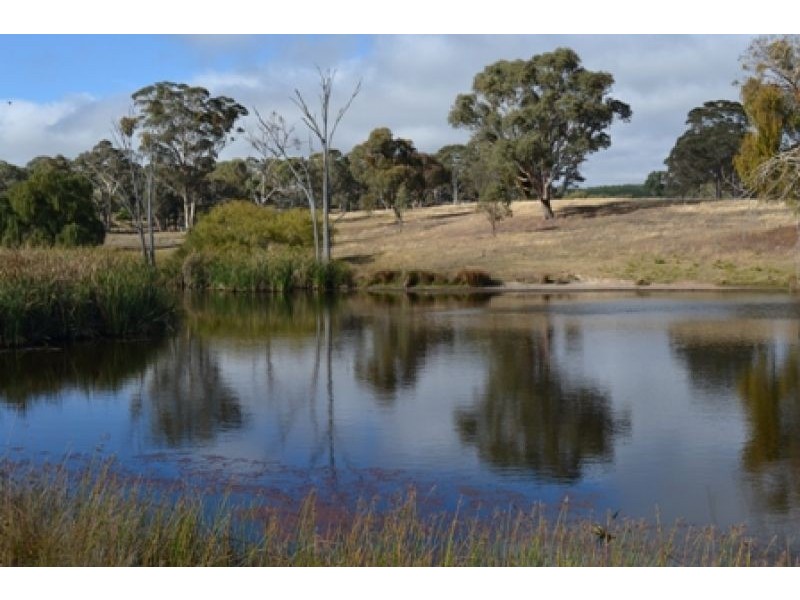 Bridle Valley Estate, Orange NSW 2800