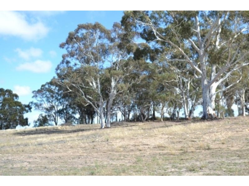 Bridle Valley Estate, Orange NSW 2800