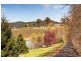 341 Nancarrow Lane, Nashdale NSW 2800