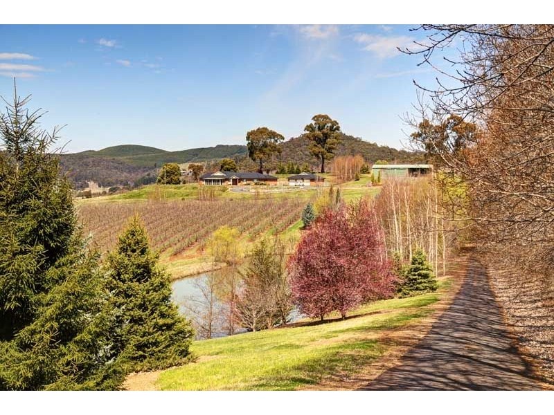 341 Nancarrow Lane, Nashdale NSW 2800