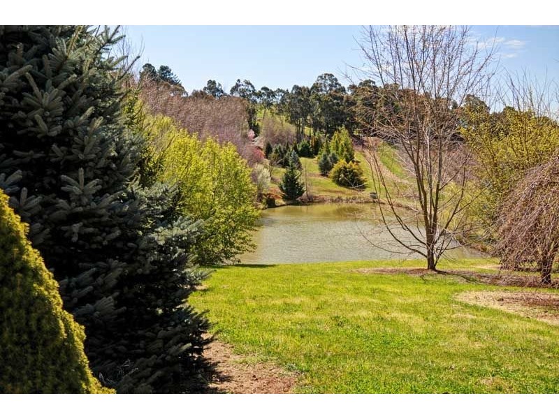 341 Nancarrow Lane, Nashdale NSW 2800