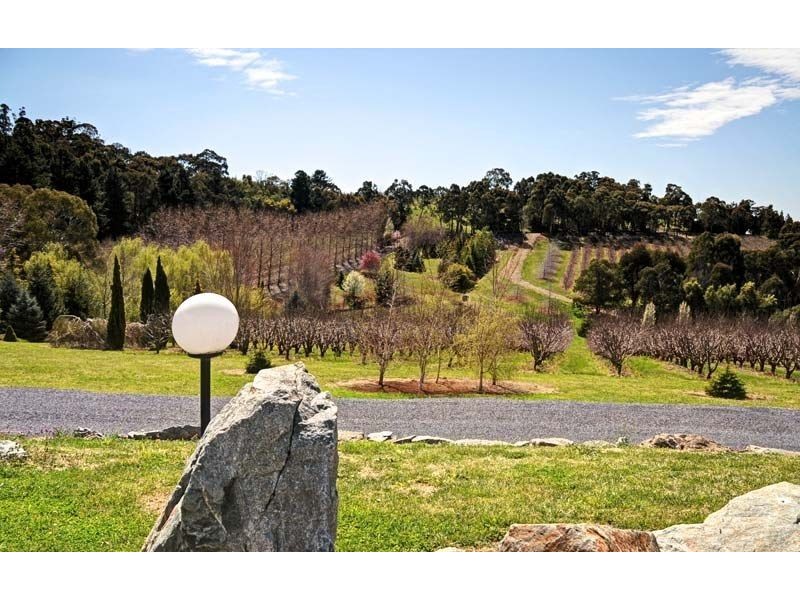 341 Nancarrow Lane, Nashdale NSW 2800