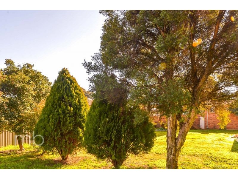 59 Torulosa Way, Orange NSW 2800