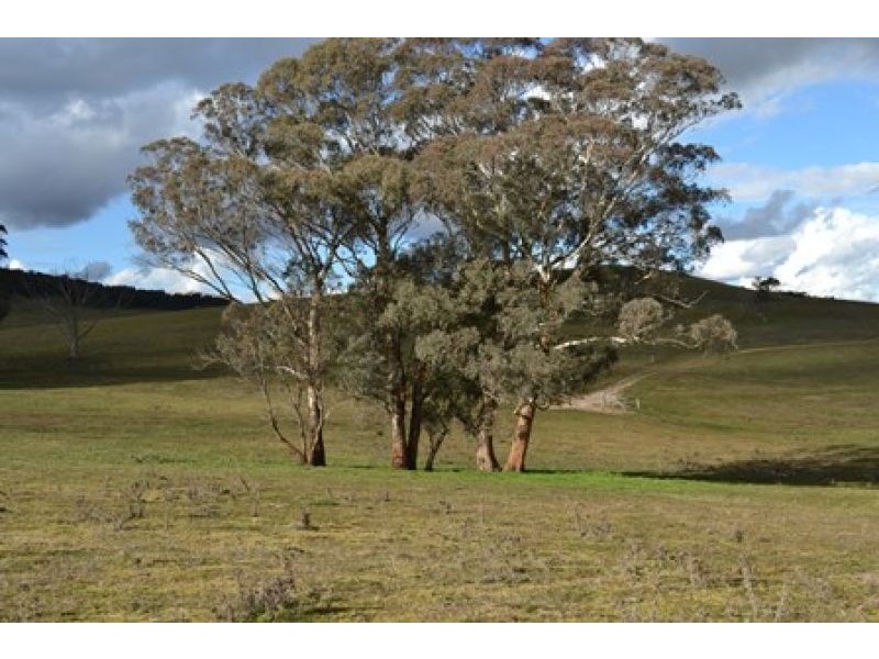 227 Emu Swamp Road, Lucknow NSW 2800