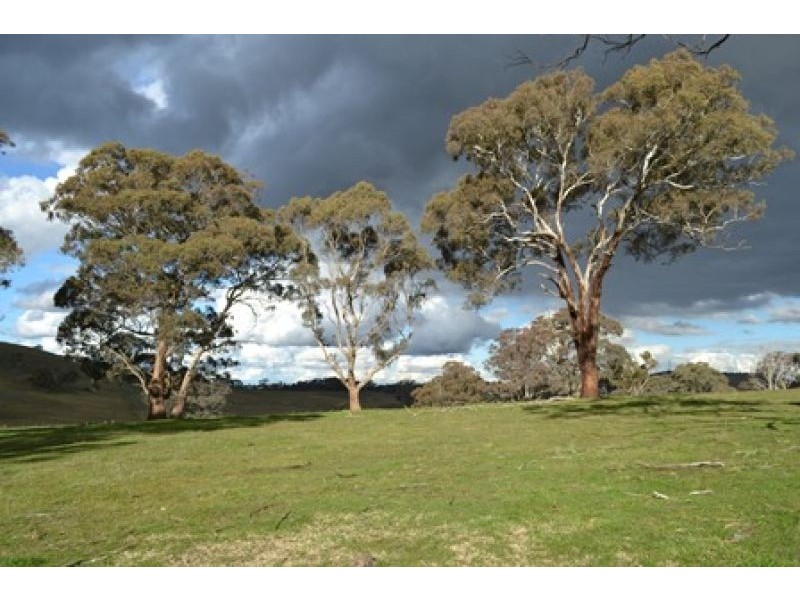 227 Emu Swamp Road, Lucknow NSW 2800